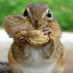 Breadly